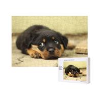 Perros Rottweiler Perros Lindos Cachorros Mascotas Pequeñas,Rompecabezas de Madera de 300 Piezas, Juego Familiar, Rompecabezas para Adultos, Adolescentes, decoración del hogar