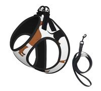 Perros Salchicha Weiner con Estampado,Arnés para Mascotas, arnés Reflectante Ajustable para Perros,L