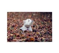 Perros Westie Bokeh West Highland White Terrier, Rompecabezas de 1000 Piezas, Rompecabezas de Madera para Toda la Familia, decoración de Pared para Adultos y Adolescentes.