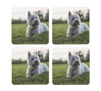 Perros Westie Lawn West Highland White Terrier,Posavasos Cuadrados de Corcho MDF, Almohadilla para Tazas, Juego de 4 Posavasos para Bebidas