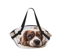 Perros y mascotas adorables de la raza Cavalier King Charles Spaniel,Esterilla de camping portátil, manta de picnic plegable multifuncional que también sirve como bolsa de camping para viajes.
