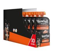 Perros - Yogur Natural para Perros Pollo Especial ARTICULACIONES Sin Lactosa | Snack de Yogurt | ANIMALUJOS (Caja 10 Unidades)