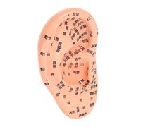 PERSELOSO 1pieza Modelo De Masaje De Oído Puntos De Acupuntura Herramienta Educativa Duradera Alta Definición Para Aprender Meridianos y Puntos De Acupuntura Medicina Tradicional