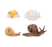 PERSELOSO 4 Piezas Figuritas Educativas del Ciclo de de Caracoles de Decoración para Juguete Cognitivo y Adorno para Hogar Simulación del