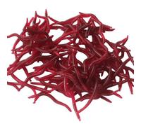 PERSELOSO Cebo Blando Biónico Olor a Pescado 50 Señuelos de Plástico 4cm para Pesca Forma de Gusano de Tierra Adecuado para Pesca Deportiva