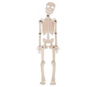 PERSELOSO Maqueta De Esqueleto DIY Juguete Educativo 34x7,2x0,3 Cm Material De Madera Kit De Ensamblaje Adecuado para Aulas y Ferias Científicas Aprendizaje Práctico