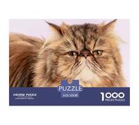 Perserkatze Herausforderndes Puzzle 1000 Teile für Erwachsene - Braun getigerte flachgesichtete Katze im Close-up - Aus recyceltem Papier - Tolles Geschenk für Familien - 52x38cm