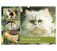 Perserkatzen. Flauschige Momente in kunstvoller Öloptik (Wandkalender 2027 DIN A