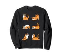 Persian Cat Yoga for Lower Back Sudadera
