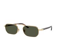 Persol Unisex Sunglass PO1020S - Color del Marco: Oro, Color de la Lente: Verde