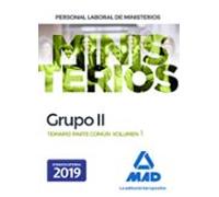 Personal Laboral De Ministerios Grupo Ii: Temario Parte Comun (vol. 1)