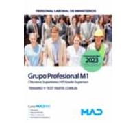 Personal Laboral De Ministerios Grupo Profesional M1 (técnicos Superio