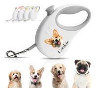 Personalización Correa Perro Extensible, Correa Extensible Perro con Foto Y Nombre De Tu Mascota, 3M Correa Extensible Perro Grande Pequeñas Y Medianas, Múltiples Colores Disponibles (B)