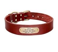 Personalizado Anti-Pérdida Ajustable Labrador Shiba Inu Pitbull Collar De Perro Pastor Personalizado Etiqueta De Identificación De Mascota Collar con Placa De Identificación,Rojo,XS