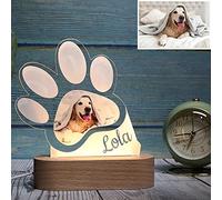Personalizado Perro/Gato Mascota Foto Noche Luz Animal Imagen 3D Acrílico USB Lámpara Noche Personalización Regalo de lujo (1 Color,1)