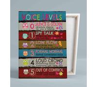 Personalized Teacher Gift Idea, Owl Themed Voice Chart Canvas Art, Ready to Hang Wall Decor, Perfect for Male or Female Teachers, Unframed (Framed,16x24inch(40x60cm))