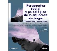 Perspectiva Social Y Psicologica De La Situacion Sin Hogar