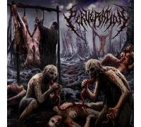Perveration - Putrefaction Of Infinite Apogee