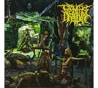 Perverse Dependence - The Patterns Of Depravity