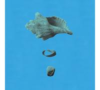Pesacov, Lewis - Edge Of Forever [Vinilo]