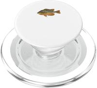 Pesca de Pecho Rojo PopSockets PopGrip para MagSafe