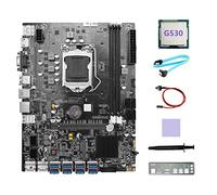 Pesderty Placa Base para MineríA B75 8GPU+CPU G530+Cable SATA+Grasa TéRmica LGA1155 Soporte 2XDDR3 MSATA B75 8USB Placa Base para Minero