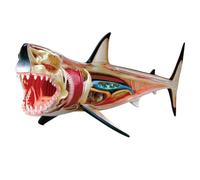Pesfehhy Modelo de Anatomía de Tiburón - Modelo Anatómico Animal - 20 Órganos y Partes del Cuerpo Desmontables Modelo de Enseñanza Médica de Biología