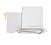 Pesfehhy Paquete de 10 Paneles a Prueba de Sonido para, Paneles AcúSticos Autoadhesivos de 12X12X0,4 Pulgadas para Estudio de GrabacióN, Oficina, Hogar, C