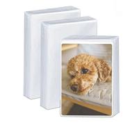 PESLNG 300 Fundas para tarjetas estándar, fundas cartas magic,sobres protectores mágicos, cartas de bolsitas transparentes 66x91 mm, la tarjeta protege Compatible con Pokémon Magic Yu-Gi-oh!