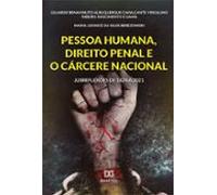 Pessoa Humana Direito Penal E O Cárcere Nacional (ebook)