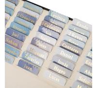 Pestañas laminadas de la Biblia en español, Pestañas Biblia Católica en Español, Biblia Reina Valera 1960 Letra Grande, papel dorado con impresión grande, suministros de diario de estudio bíblico,