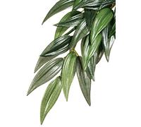PET-663469 Plant Exo Terra seda Ruscus (Medium)