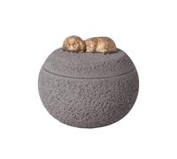 Pet Ashes Urn, Dog Memorial Urns, Sturdy Cement, Coffin Holder, Animals Cremation Container for Commemorative Remembrance, Loss, Cats Memory, Funeral, Sympathy Keepsake
