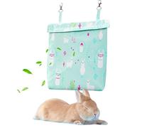 Pet Cage, Cooling Ice Pack, Small Animal Chill Plate, 10.43x9.45x1.97 Inches, Hangable Insulated Pad, Design Bunnies, Guinea Pigs, Rodents, Ideal for Indoor, Travel, Storage Use