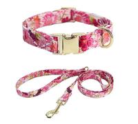 Pet Collar & Leash Set, Engravable Buckle Breathable Mesh, for Small Dogs Cats (Comfort Premium Polyester)