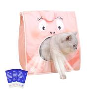 Pet Cooling Cat Carrier, Foldable Portable with Built-In Ice Pack, Ventilated Oxford Cloth Enclosure, Locks in Coolness for Air-Conditioned Rooms, Travel Car Airline Camping, 15.16x11.81x15.75in