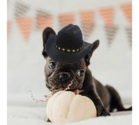 Pet Cowboy Hat Dog - Mini Cowboy Hats For Cats and Dogs | Accessories Headwear Adjustable Cap For Cosplay Cowbôy- Cowbôy Caps and Triangle Scarves | Western Pet Costumes