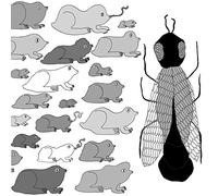 Pet Crow - A Simple Guide to Smalland Medium Pond L [Vinilo]