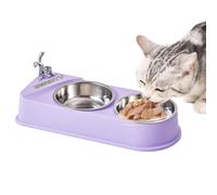 Pet Double Feeding Bowl | Non-Slip Feeder Double Dishes for Cats | Non-Skid Stainless Steel Pet Bowls, Pet Feeder with Double Food and Water Bowls, Sturdy Raised Bowl Stand for Dogs, Cats, Puppies