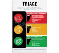 Pet Emergency Flowchart Wall Art Triage and First Aid Guide for Veterinary Clinic Rescue Center Educational Poster Sign(Framed,08x12inch(20x30cm))