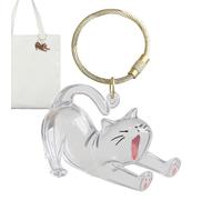 Pet Hair Key Chain, Clear Memorial Ornament, Bag Car Accessory, Gift