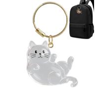 Pet Hair Key Chain, Clear Memorial Ornament, Bag Car Accessory, Gift