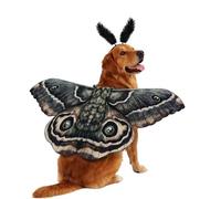 Pet Halloween Costume - Felt 50x22cm | Cat Wing Clothes with Headband, Moth Dog Wing Costume, Pet Cosplay Wings, Fancy DressCostume For Small Medium Large Dogs Cats Puppy Kitten | Holiday Cosplay
