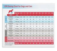 Pet Heroes Poster Honoring Those Who Care for Our Dogs Cats and Animals Inspirational Wall Art(Unframed,08x12inch(20x30cm))