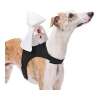 Pet Knight Tengit - Traje de Crusader para perros, ropa de perro guerrero medieval | Armadura de cosplay de Halloween para perros medianos y grandes, disfraz de fiesta para mascotas, cos