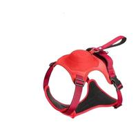 Pet Leash， Correa Suave Ajustable del arnés del Perro Retractable con la manija for los Perros Grandes,for Pets(RDT300 with clamp,L)