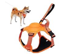 Pet Leash， Correa Suave Ajustable del arnés del Perro Retractable con la manija for los Perros Grandes,for Pets(BEG29 with clamp,M)