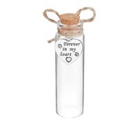 Pet Memorial Keepsake Bottle - Glass Jar, Cork Lid, Heart Charm, Compact Re
