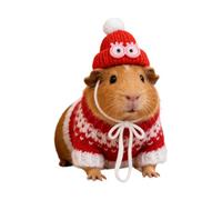 Pet Outfits - Washable Hamster Clothes | Animal Hoodie Sweater | Pullover Knitted Clothing | Miniature Garments Playful For Gerbil Guinea Ferret Bunny Chinchilla Hedgehog Indoors Outdoors