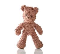 Pet Passion Juguetes de Felpa de algodón Duradero para Perros con Relleno de Coco para Todas Las Razas de Mascotas, Beau The Bear, Talla única